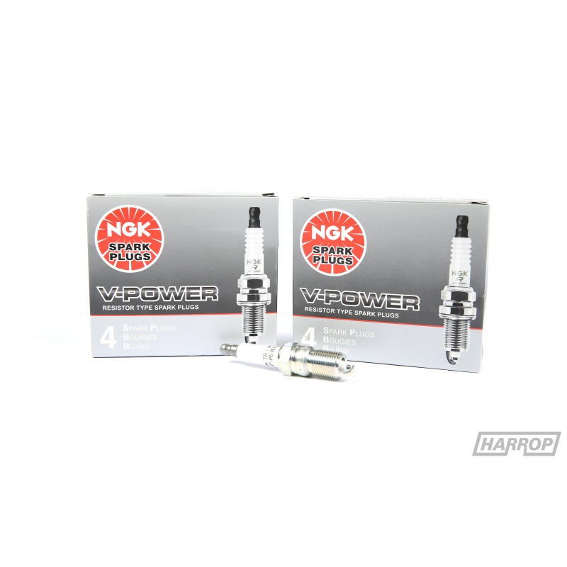 NGK TR6 Spark Plugs | SS & HSV LS V8